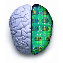 elektronik beyin